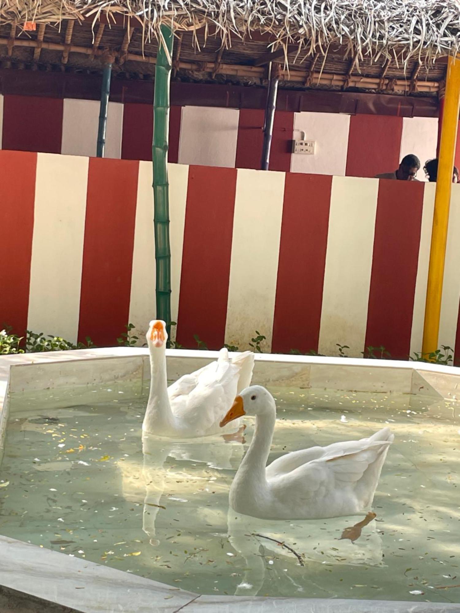Chola Heritage Resort Karaikkudi Luaran gambar