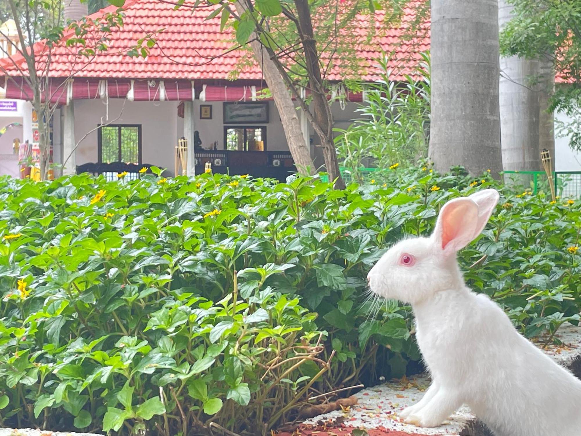 Chola Heritage Resort Karaikkudi Luaran gambar