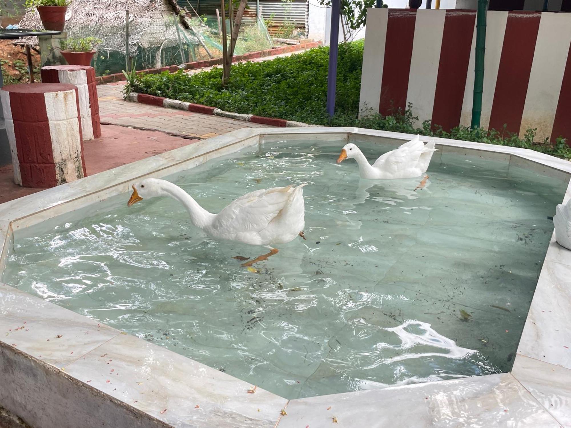 Chola Heritage Resort Karaikkudi Luaran gambar